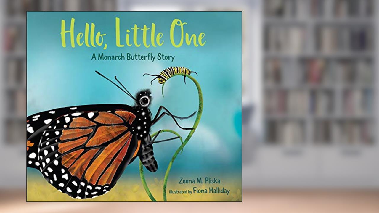 Hello, Little One: A Monarch Butterfly Story, written by Zeena M. Pliska
