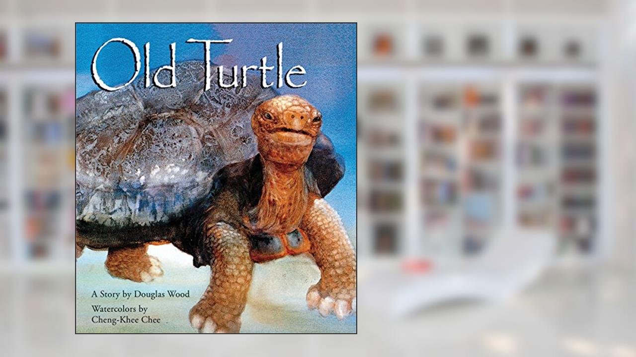 Old Turtle (Lessons of Old Turtle), written by Douglas Wood
