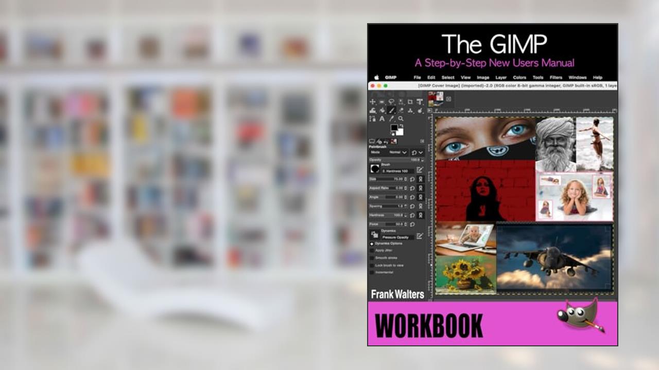 The GIMP Workbook: A Step-by-Step New Users Manual, written by Frank Walters