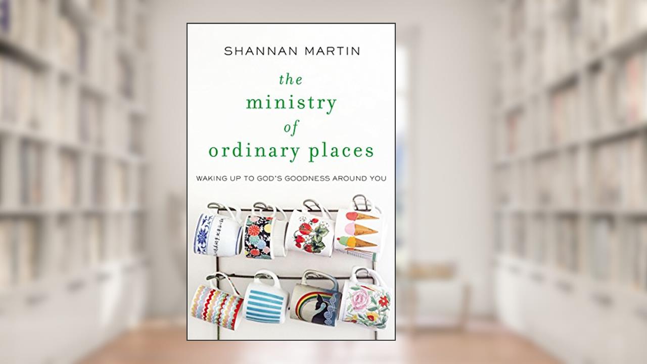 The Ministry of Ordinary Places: Waking Up to God's Goodness Around You, written by Shannan Martin