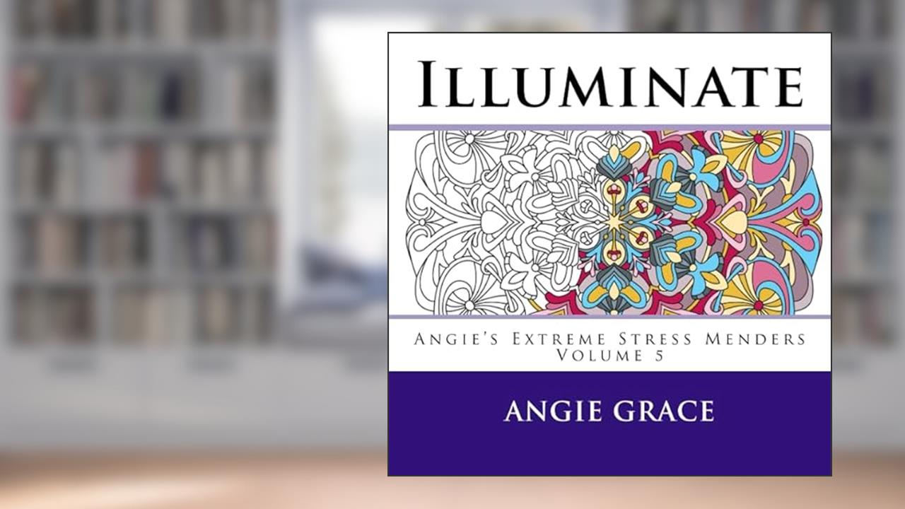 Illuminate (Angie's Extreme Stress Menders Volume 5), written by Angie Grace