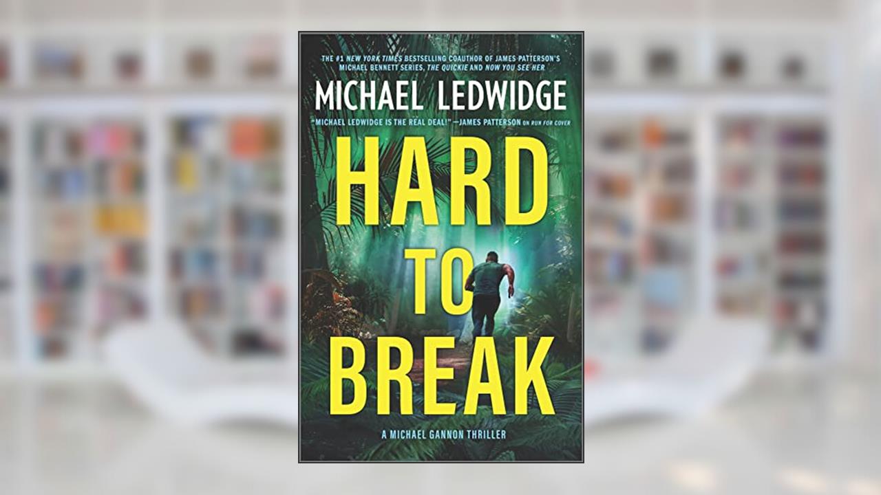Hard to Break: A Michael Gannon Thriller (Michael Gannon Series Book 3), written by Michael Ledwidge