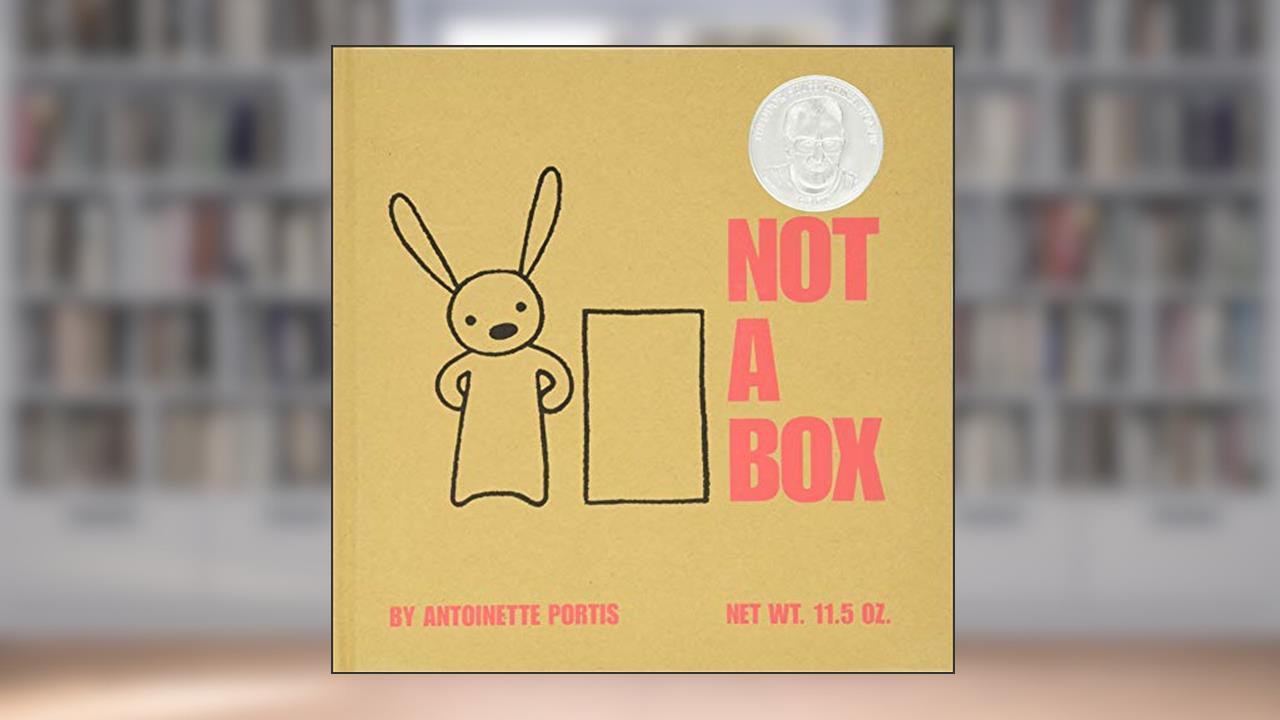 Not a Box, written by Antoinette Portis