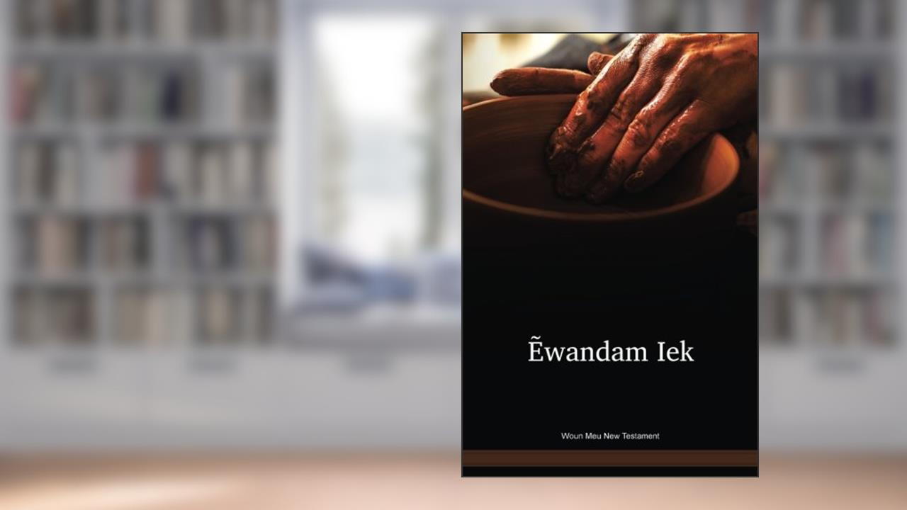 Woun Meu New Testament, written by Inc. Wycliffe Bible Translators