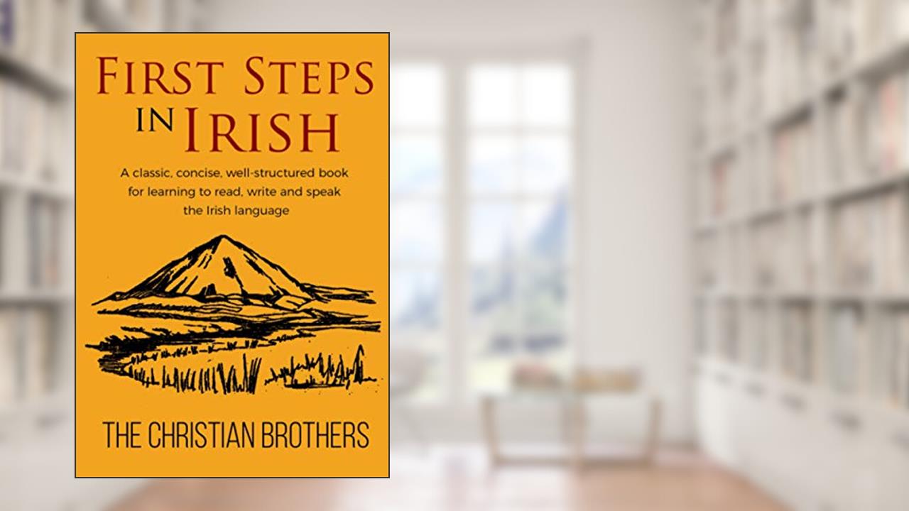 First Steps in Irish: A classic, succinct, book for learning to read, write and speak the Irish language, written by The Christian Brothers