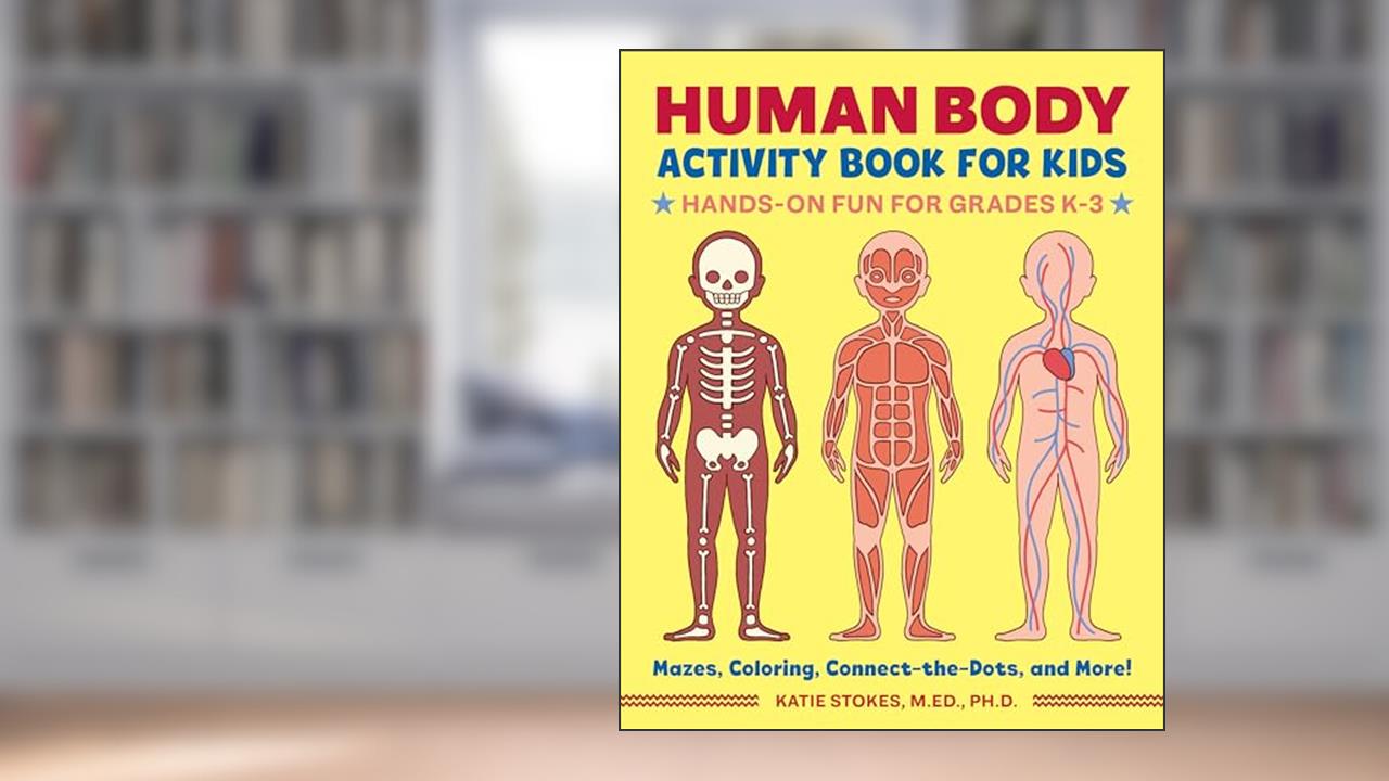 Human Body Activity Book for Kids: Hands-On Fun for Grades K-3, written by Ph.D., Katie Stokes, M.Ed.,