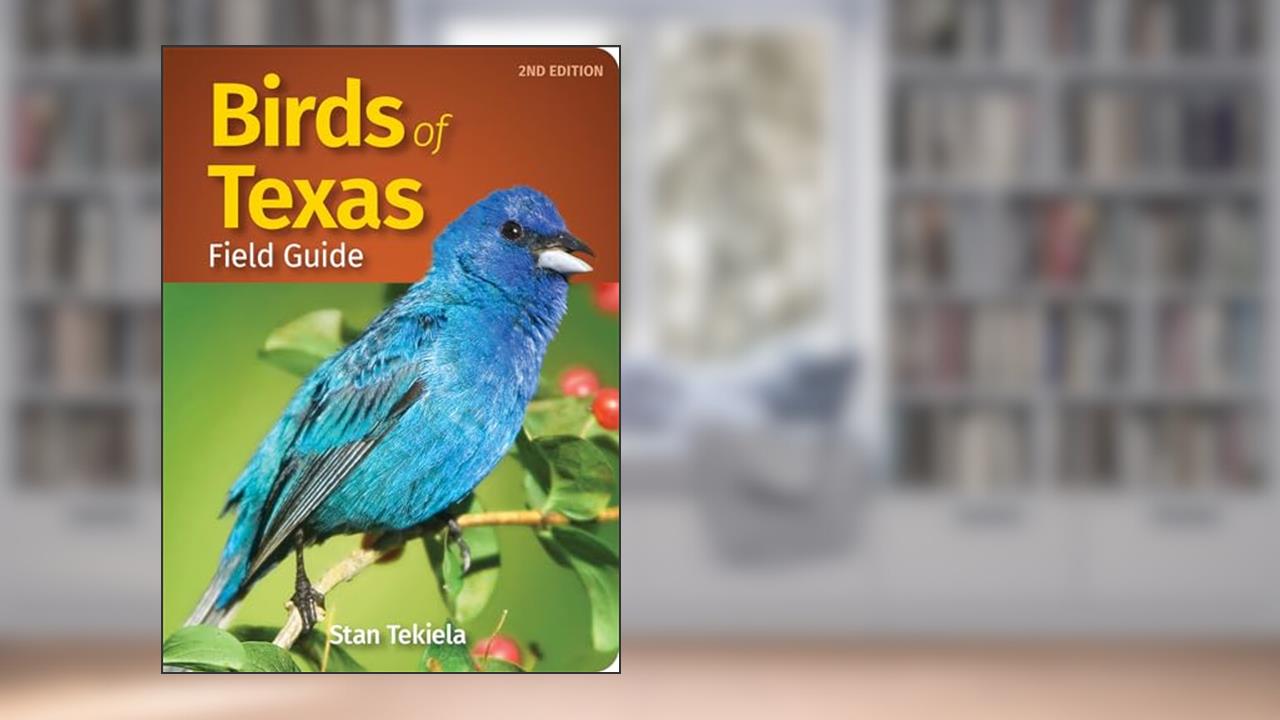 Birds of Texas Field Guide (Bird Identification Guides), written by Stan Tekiela