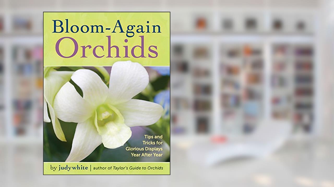 Bloom-Again Orchids: 50 Easy-Care Orchids that Flower Again and Again and Again, written by judywhite