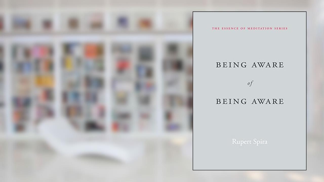 Being Aware of Being Aware (The Essence of Meditation Series), written by Rupert Spira