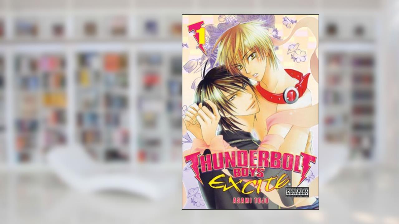 Thunderbolt Boys Excite Volume 1, written by Asami Tojo