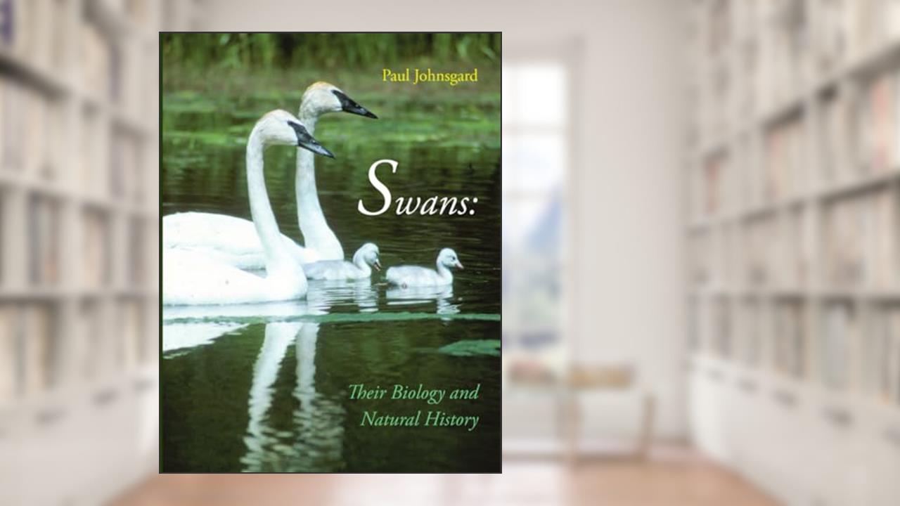 Swans: Their Biology and Natural History, written by Paul Johnsgard