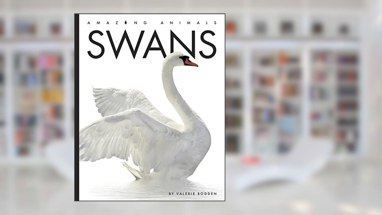 Swans (Amazing Animals), written by Valerie Bodden