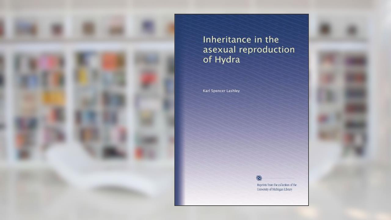 Inheritance in the asexual reproduction of Hydra, written by Karl Spencer Lashley