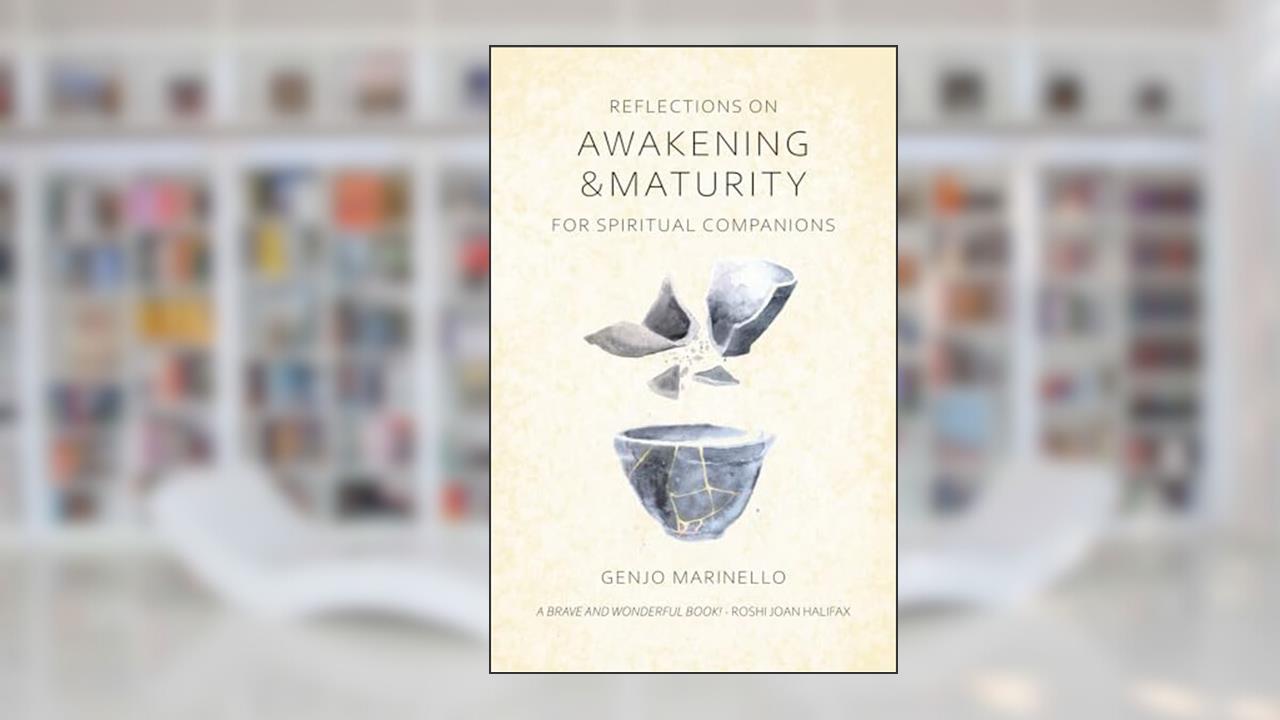 Reflections on AWAKENING AND MATURITY: FOR SPIRITUAL COMPANIONS, written by Genjo Marinello