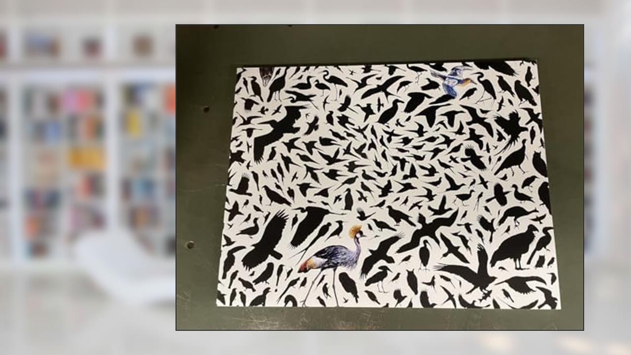 Field Guide: James Prosek's Un/Natural World: An Exhibition at the North Carolina Museum of Art March 7 - August 2, 2015 (published in 2015), written by James Prosek
