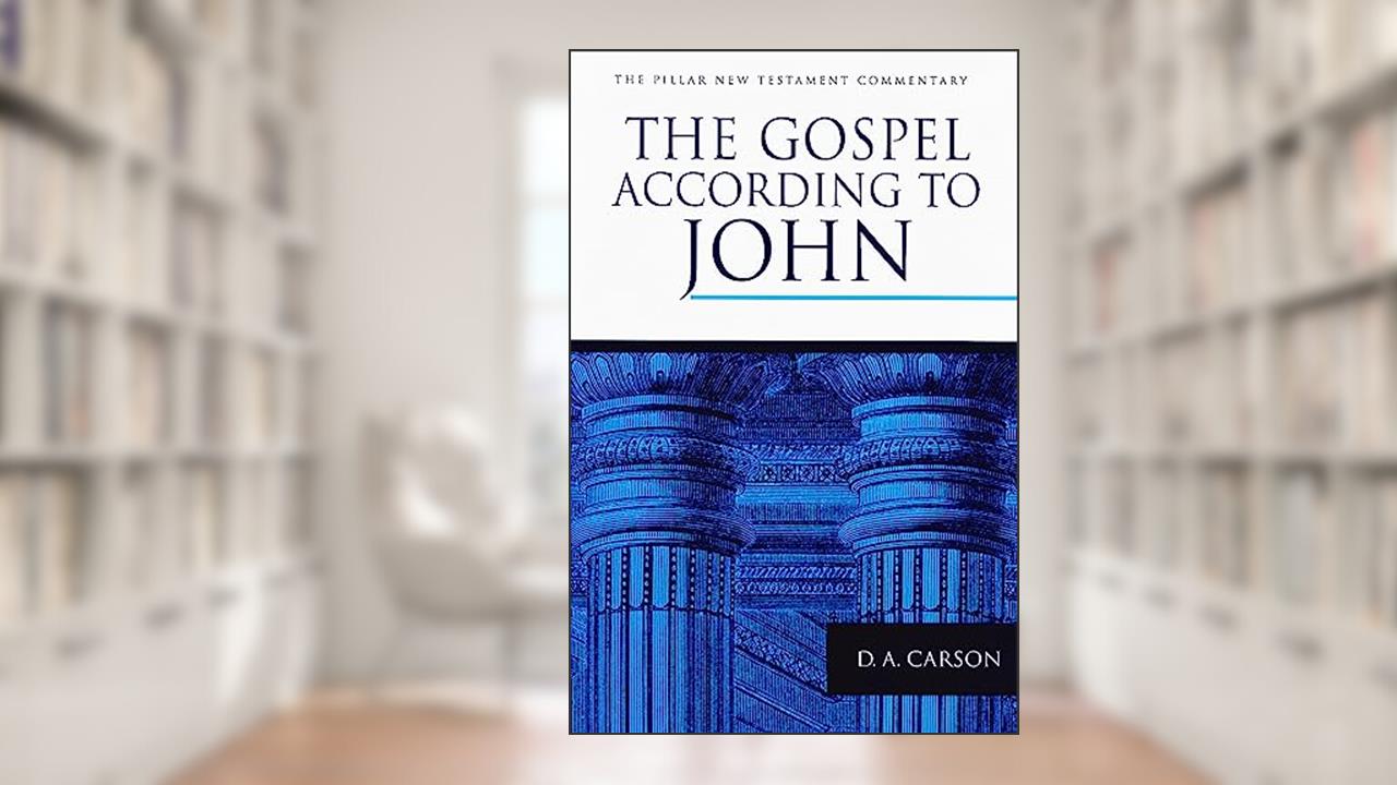 The Gospel according to John (The Pillar New Testament Commentary (PNTC)), written by D. A. Carson
