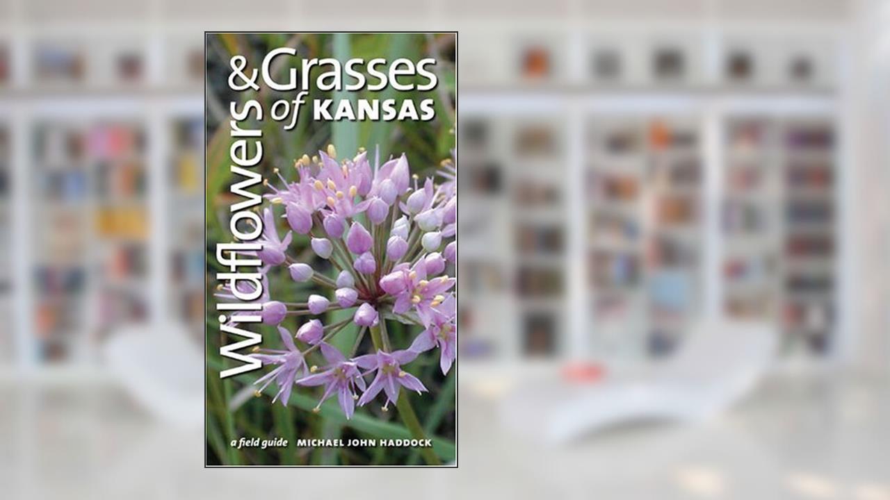 Wildflowers and Grasses of Kansas: A Field Guide, written by Michael J. Haddock