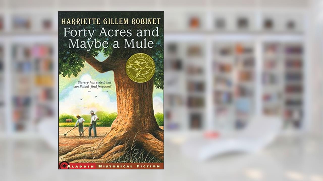 Forty Acres and Maybe a Mule, written by Harriette Gillem Robinet