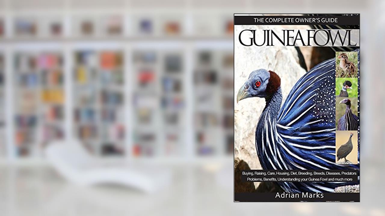 Guinea Fowl: The Complete Owners Guide, written by Adrian Marks