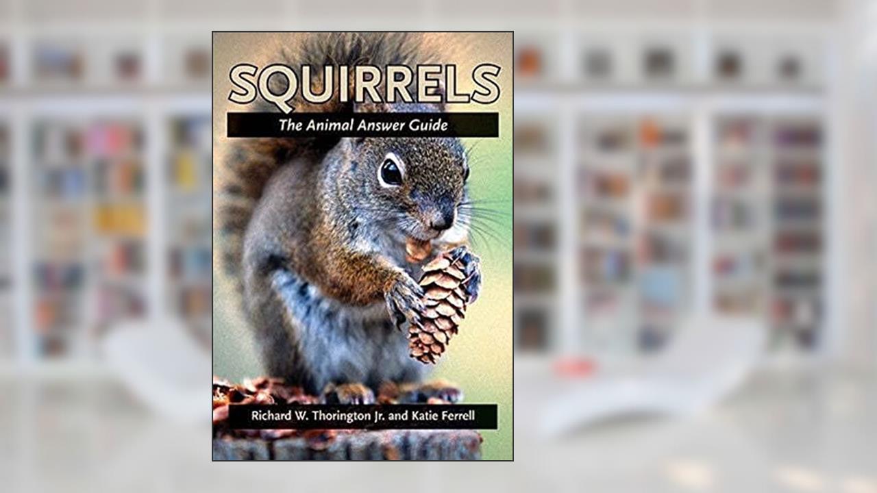Squirrels: The Animal Answer Guide (The Animal Answer Guides: Q&A for the Curious Naturalist), written by Richard W. Thorington Jr.; Katie E. Ferrell