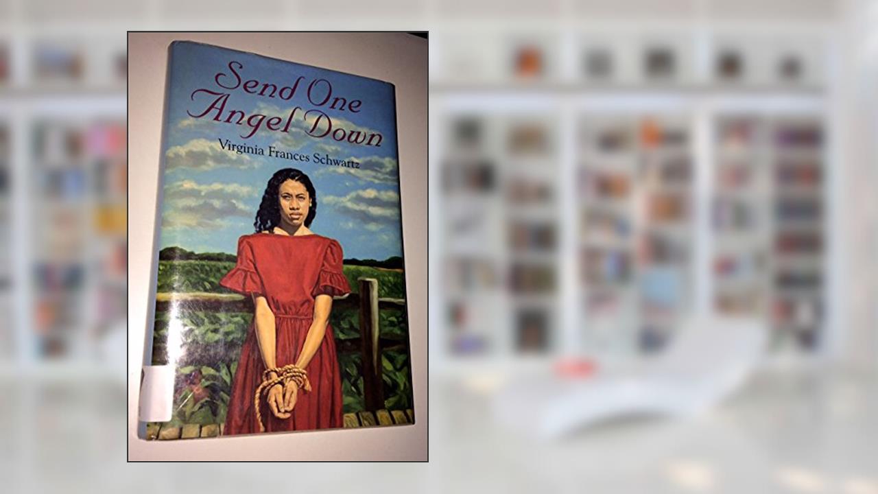Send One Angel Down, written by Virginia Frances Schwartz