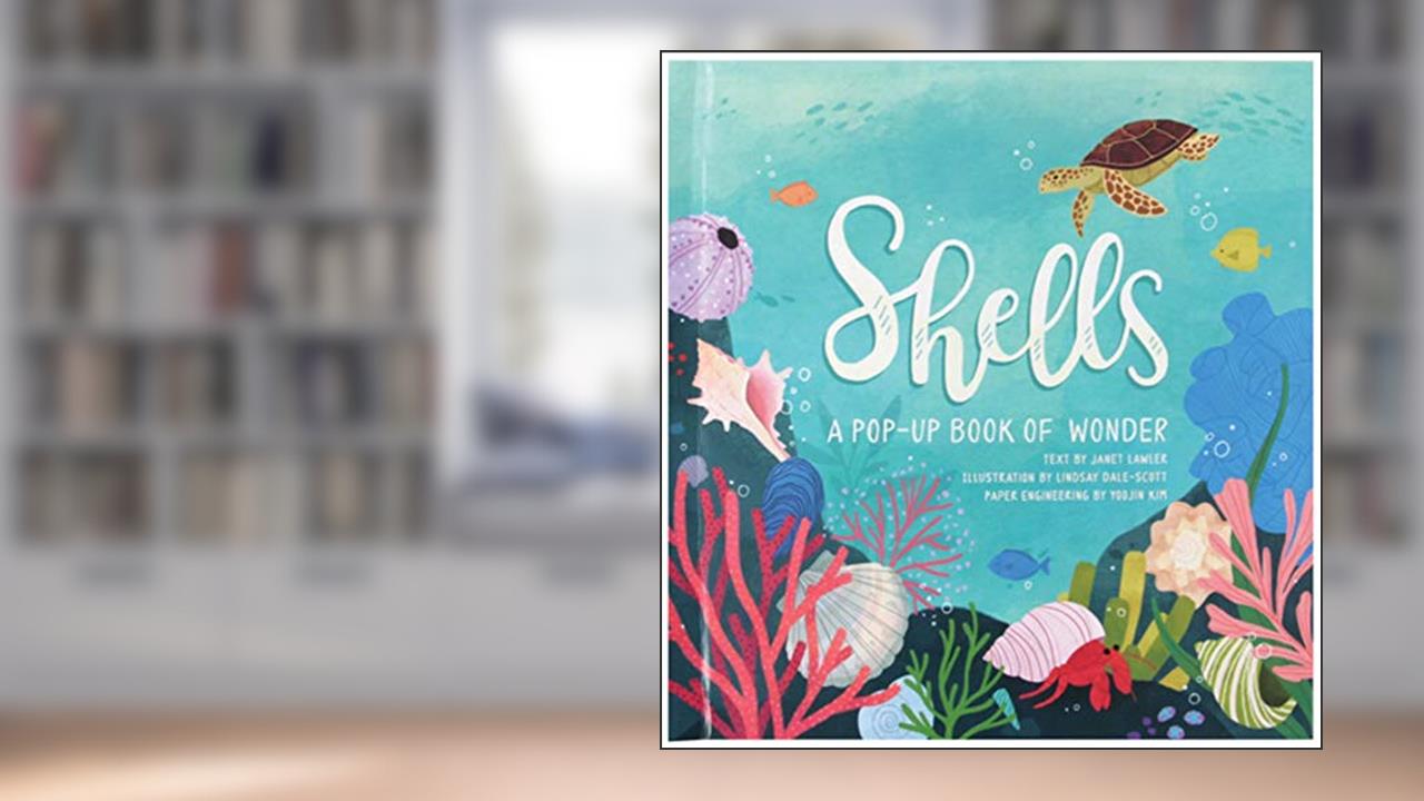 Shells: A Pop-up Book of Wonder, written by Janet Lawler