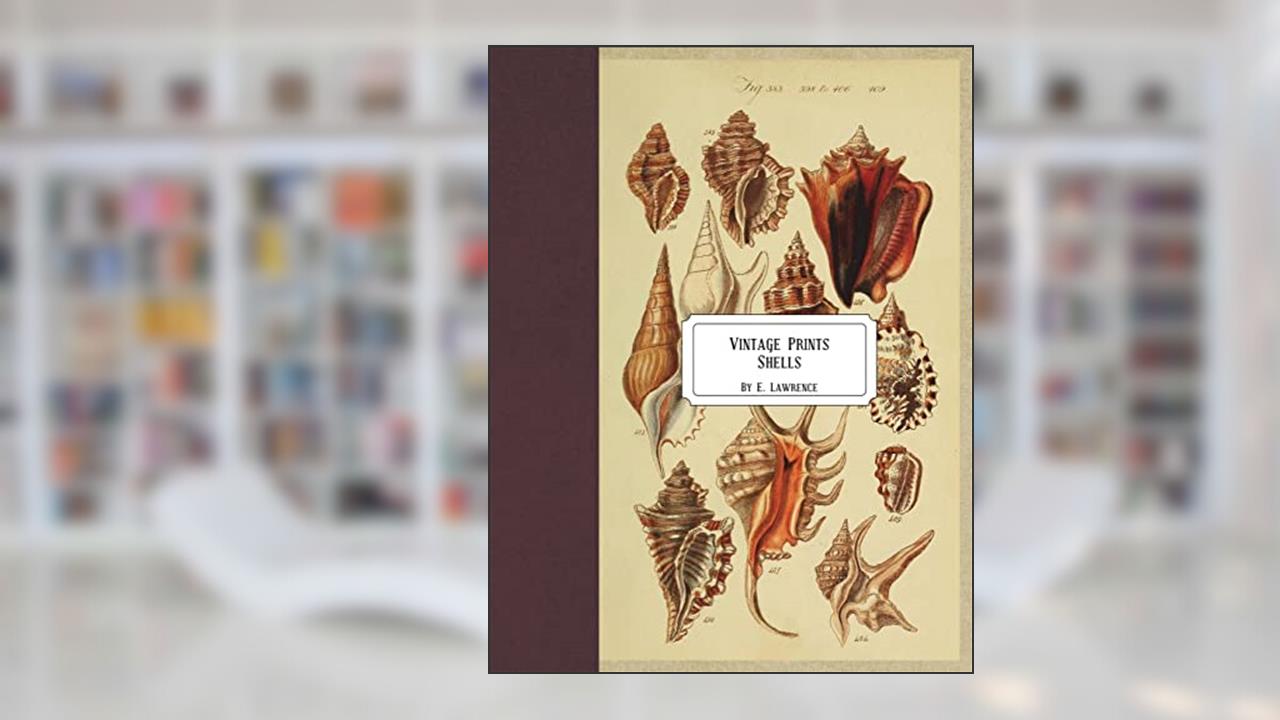 Vintage Prints: Shells, written by E. Lawrence