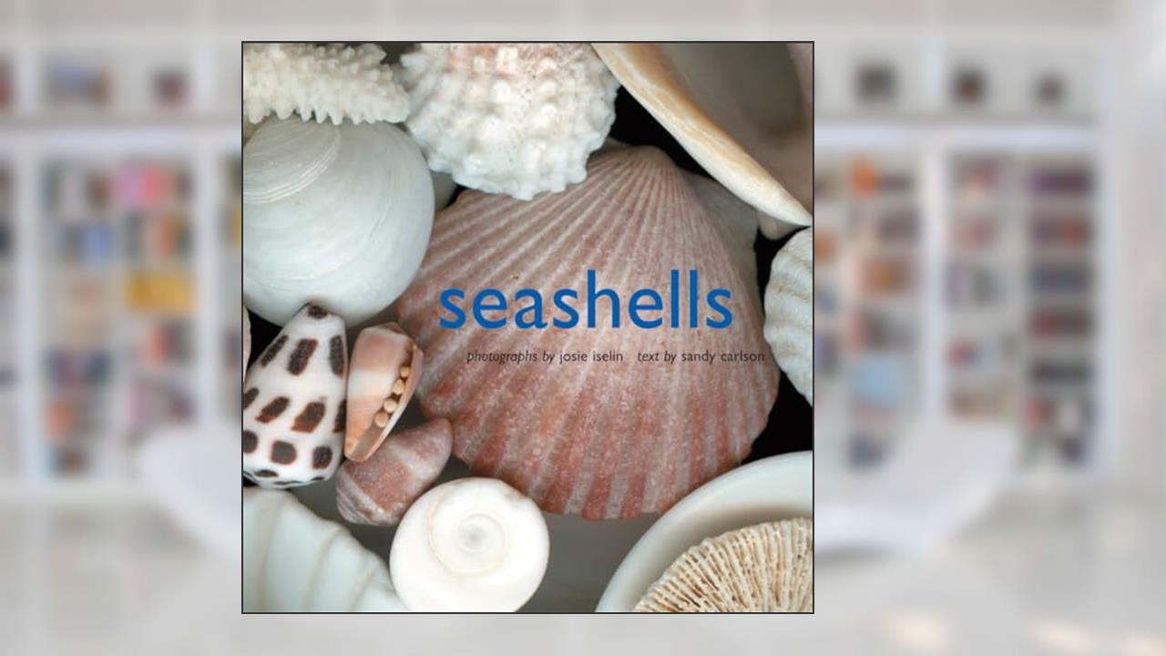 Seashells, written by Josie Iselin; Sandy Carlson