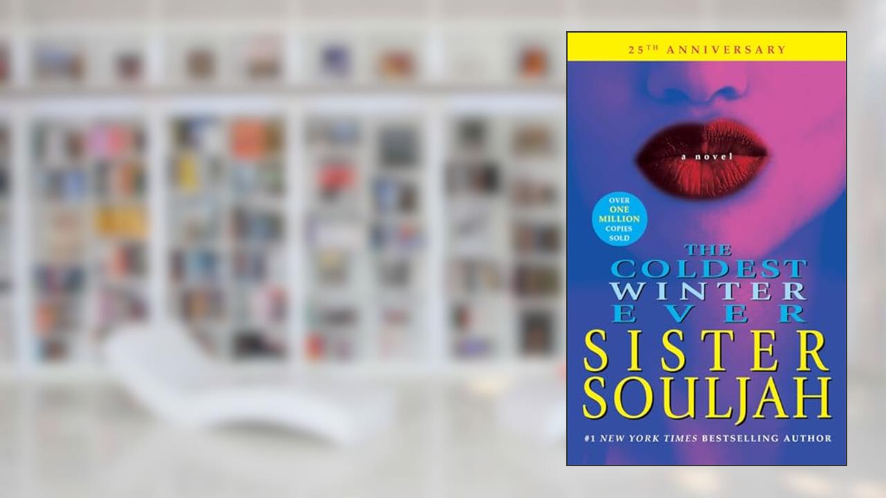 The Coldest Winter Ever: A Novel (1) (The Winter Santiaga Series), written by Sister Souljah
