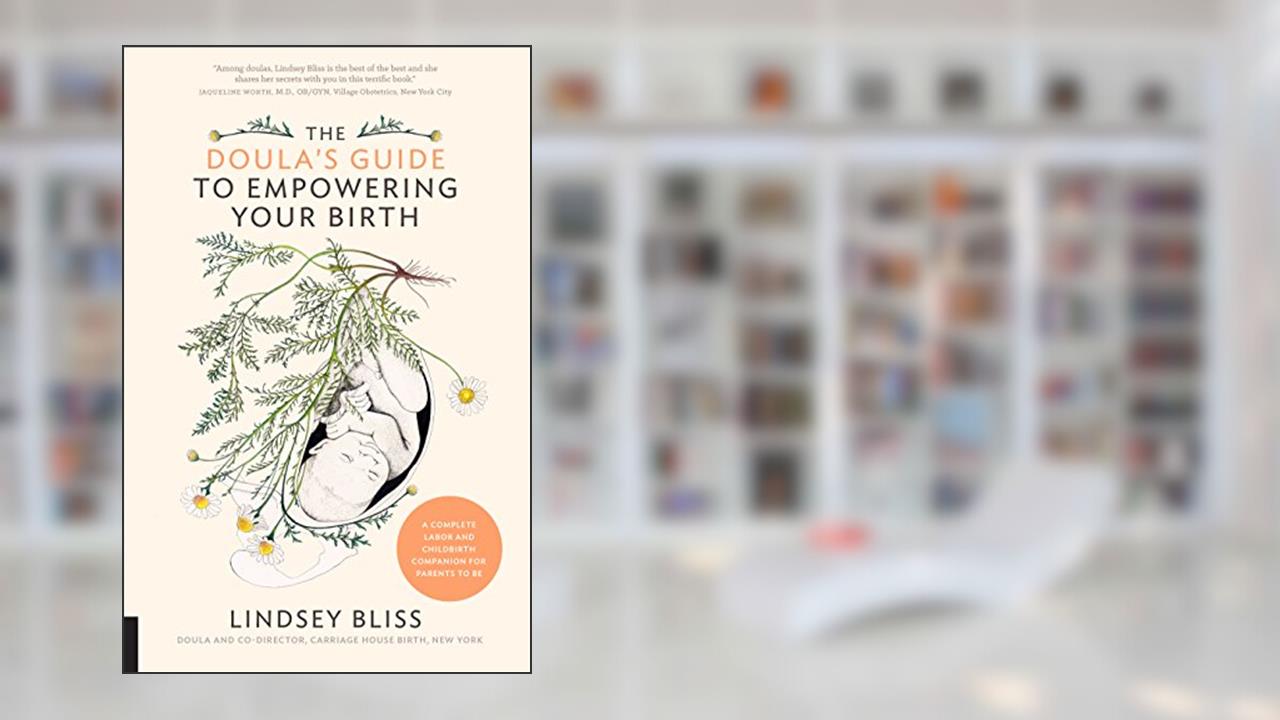 The Doula's Guide to Empowering Your Birth: A Complete Labor and Childbirth Companion for Parents to Be, written by Lindsey Bliss
