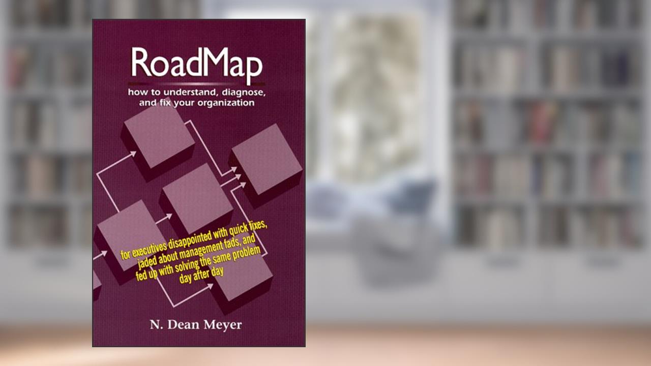 RoadMap: How To Understand, Diagnose, and Fix Your Organization, written by N. Dean Meyer