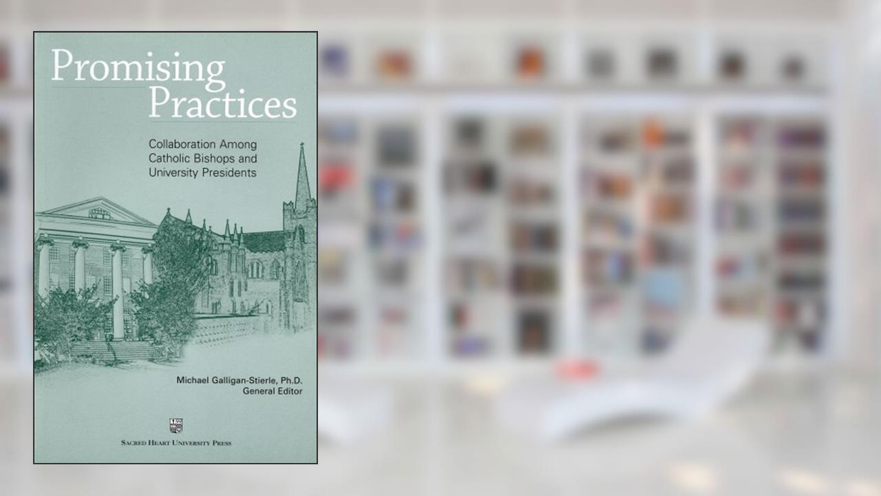Promising Practices, written by Many Contributing Authors