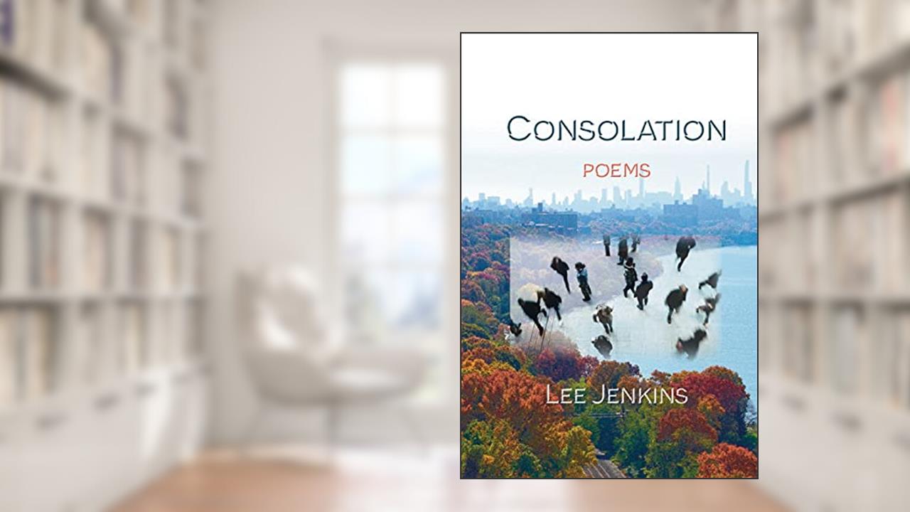 Consolation; Poems, written by Lee Jenkins