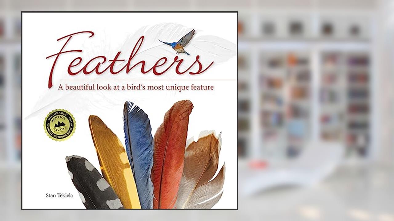 Feathers: A Beautiful Look at a Bird's Most Unique Feature (Nature Appreciation), written by Stan Tekiela