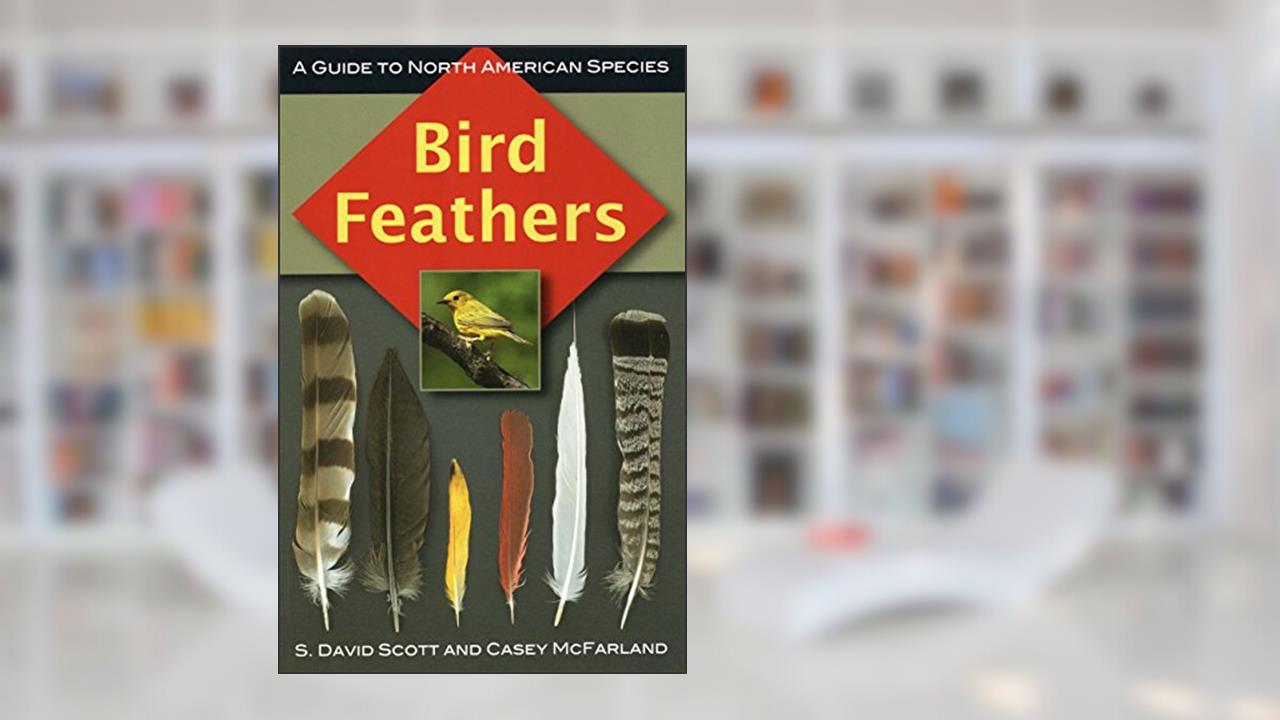 Bird Feathers: A Guide to North American Species, written by S. David Scott; Casey McFarland