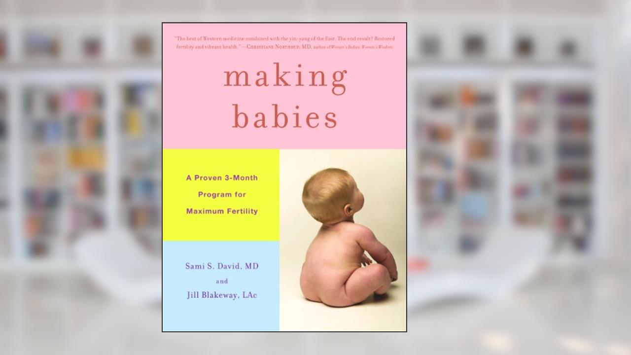 Making Babies: A Proven 3-Month Program for Maximum Fertility, written by Jill Blakeway; Sami S. David