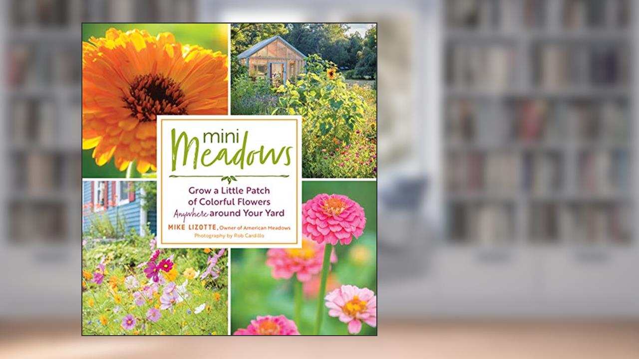 Mini Meadows: Grow a Little Patch of Colorful Flowers Anywhere around Your Yard, written by Mike Lizotte
