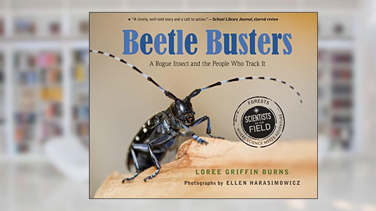 Beetle Busters: A Rogue Insect and the People Who Track It (Scientists in the Field), written by Loree Griffin Burns