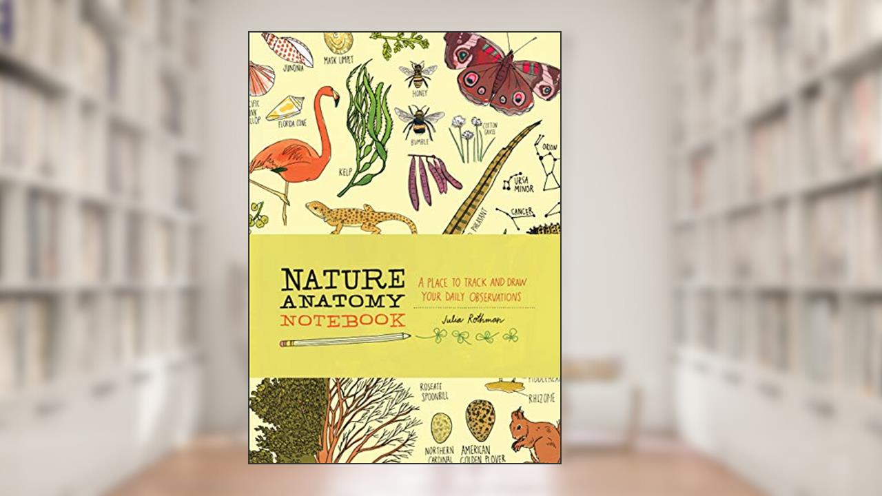 Nature Anatomy Notebook: A Place to Track and Draw Your Daily Observations, written by Julia Rothman