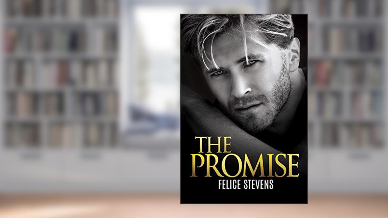 The Promise (Lost in New York Book 2), written by Felice Stevens