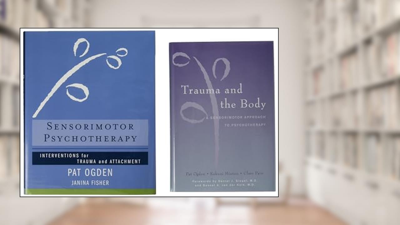 Trauma and the Body/Sensorimotor Psychotherapy Two-Book Set (Norton Series on Interpersonal Neurobiology), written by Pat Ogden Ph.D.