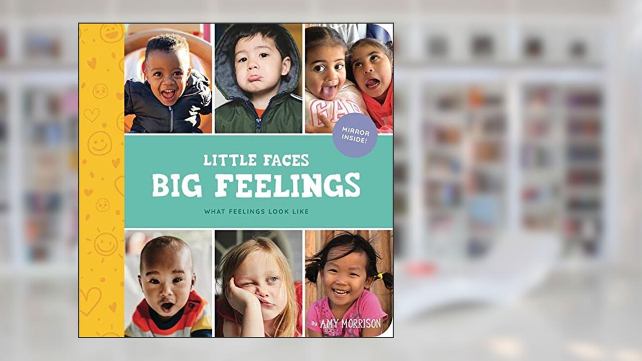Little Faces Big Feelings: What Emotions Look Like (Little Feminist Presents, 2), written by Amy Morrison