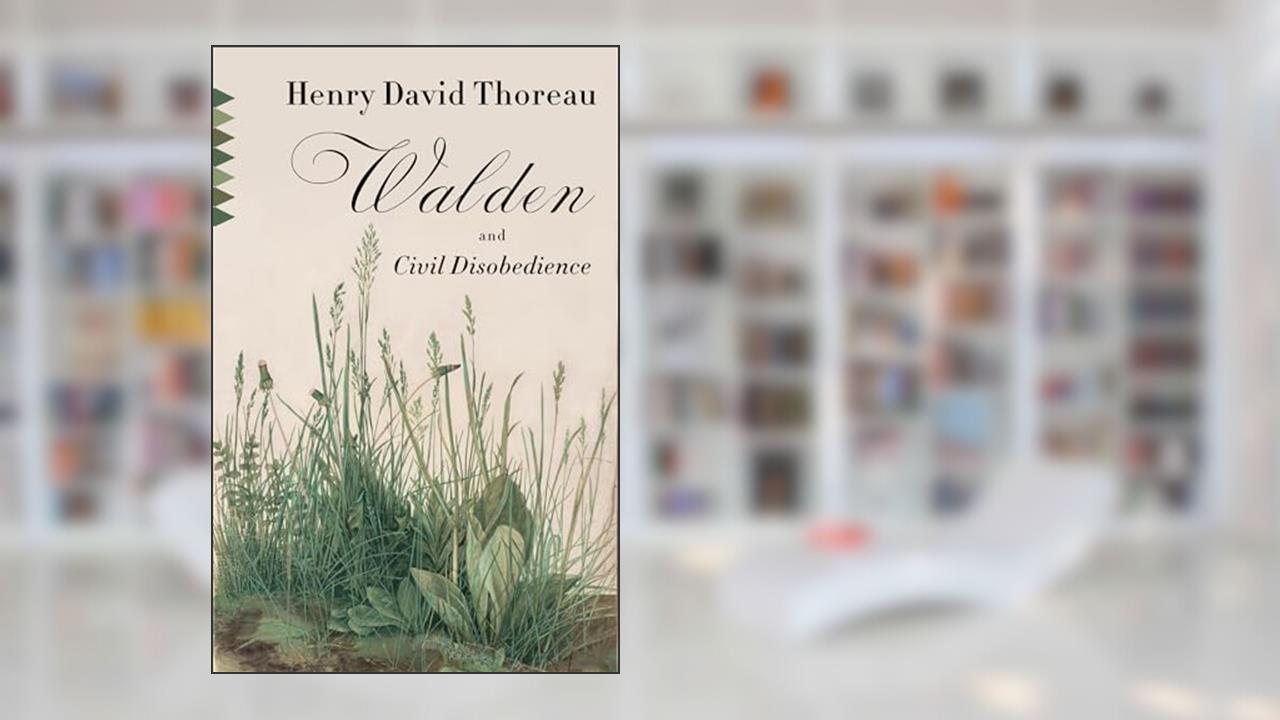 Walden & Civil Disobedience (Vintage Classics), written by Henry David Thoreau
