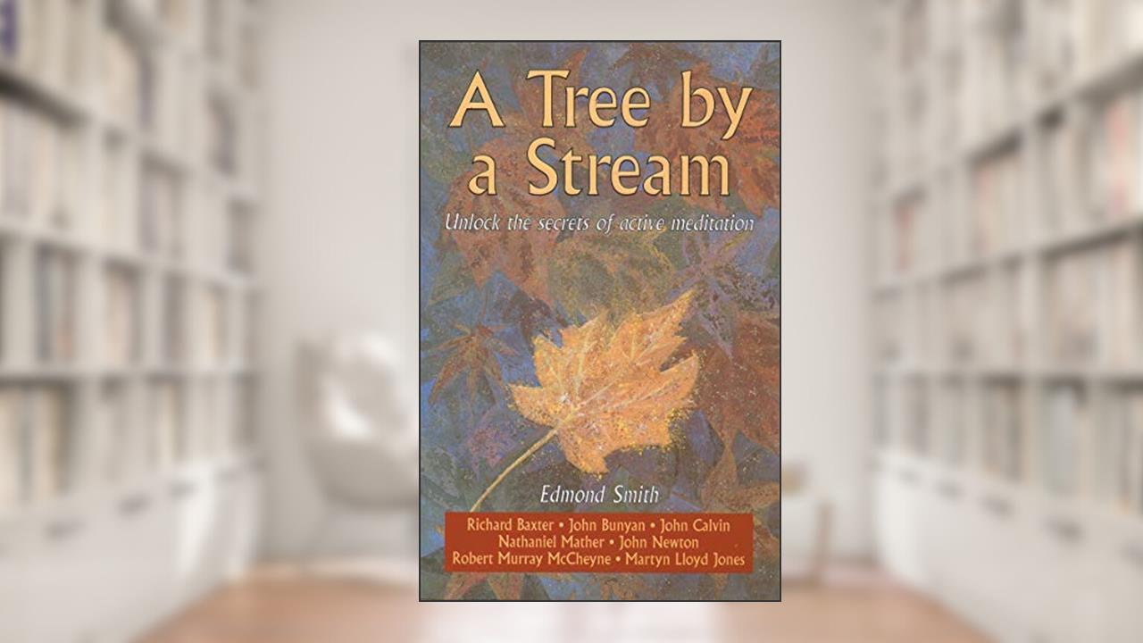 A Tree By a Stream: Unlock the secrets of active meditation, written by Edmond Smith