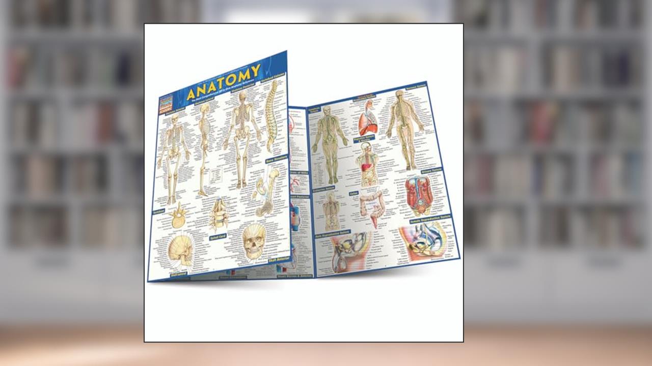 Anatomy QuickStudy Laminated Reference Guide (QuickStudy Academic), written by Vincent Perez