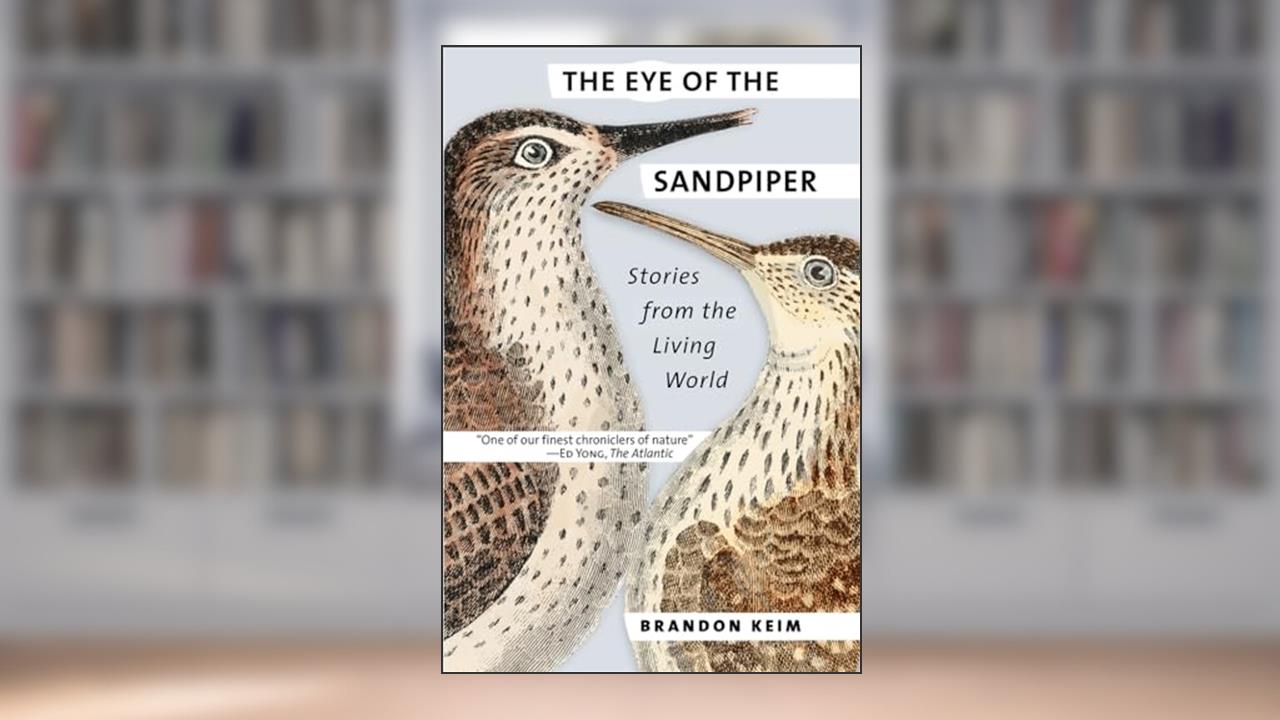 The Eye of the Sandpiper: Stories from the Living World, written by Brandon Keim