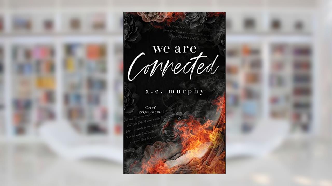 CONNECTED: We Are Connected (Taboo romance - Brother-in-law) (The Broken Trilogy Book 2), written by A. E. Murphy