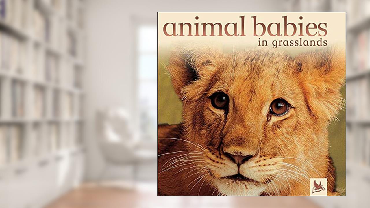 Animal Babies in Grasslands, written by Jennifer Schofield