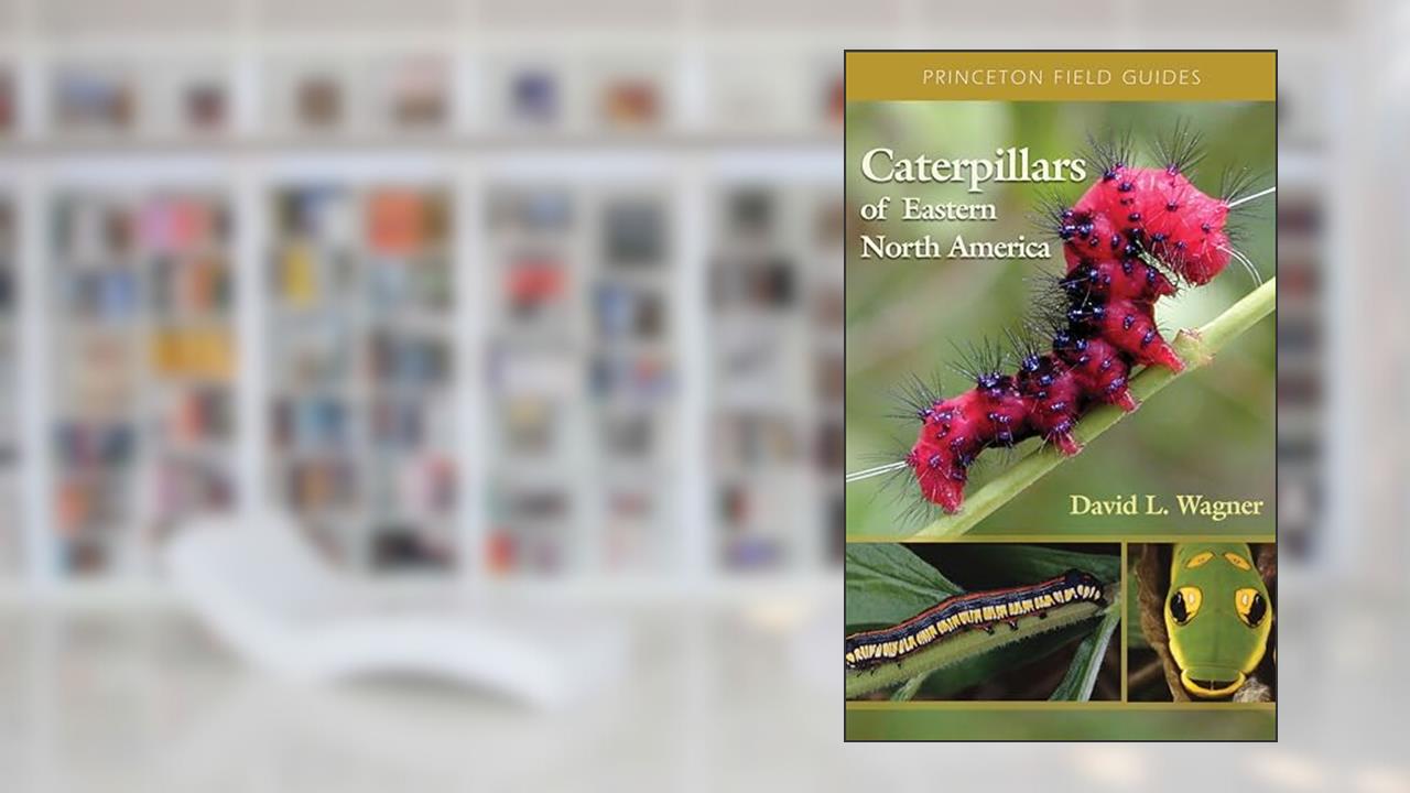 Caterpillars of Eastern North America: A Guide to Identification and Natural History (Princeton Field Guides), written by David L. Wagner
