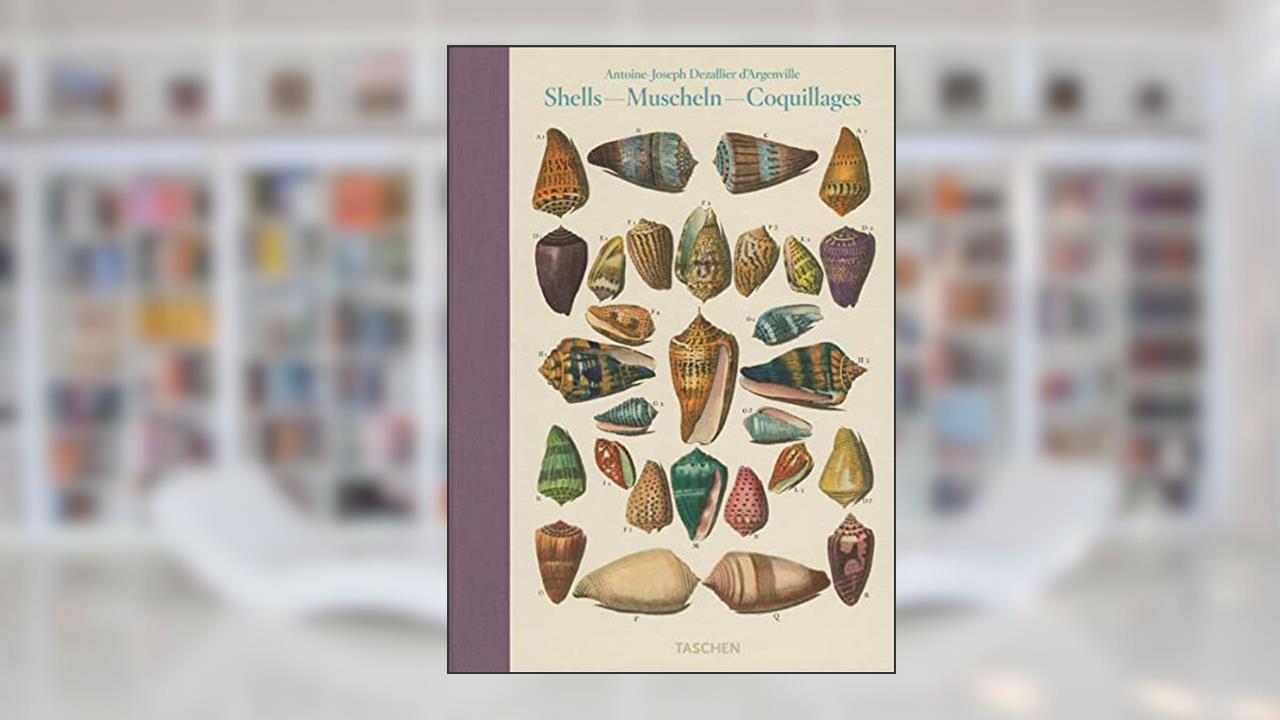 Shells - Muscheln - Coquillages: Conchology or the Natural History of Sea, Freshwater, Terrestrial and Fossil Shells 1780, written by Antione-Joseph Dezallier d'Argenville